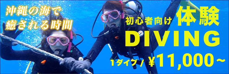 exprience diving