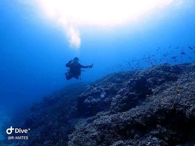 AOWへアップデート！【R-MATES Okinawa Diving Club】