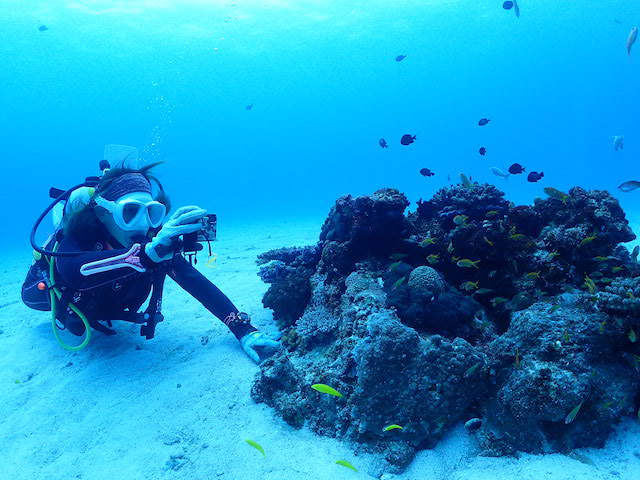 水納島でマクロ三昧📷✨【R-MATES Okinawa Diving Club】