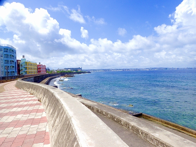 砂辺でフォトダイビング☆【R-MATES Okinawa Diving Club】